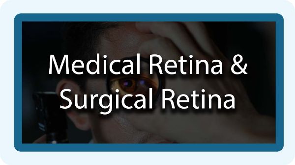Medical Surgical Retina